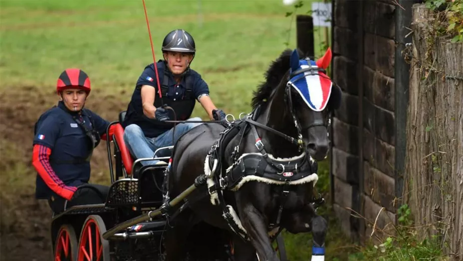 Côme Boisteau et Drôle de Dame d’Aury, champions d’Europe U25 d'attelage