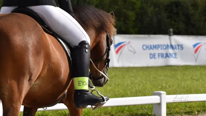 Championnat de France equitation isalandaise Lucile s photography