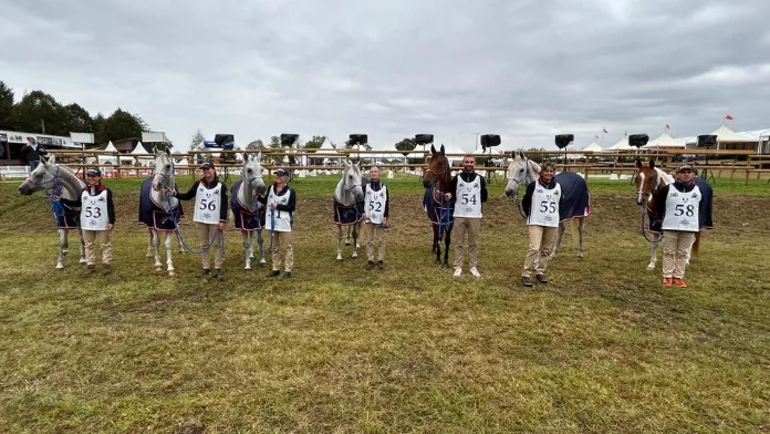 L'équipe de France pour les championnats du monde Seniors d’endurance à Monpazier (24)