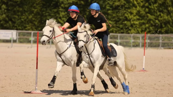 Prouesses sportives et festivités au Grand Tournoi 2024 pony-games