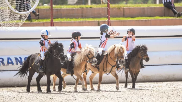 À la découverte du horse-ball : les épreuves Néo !