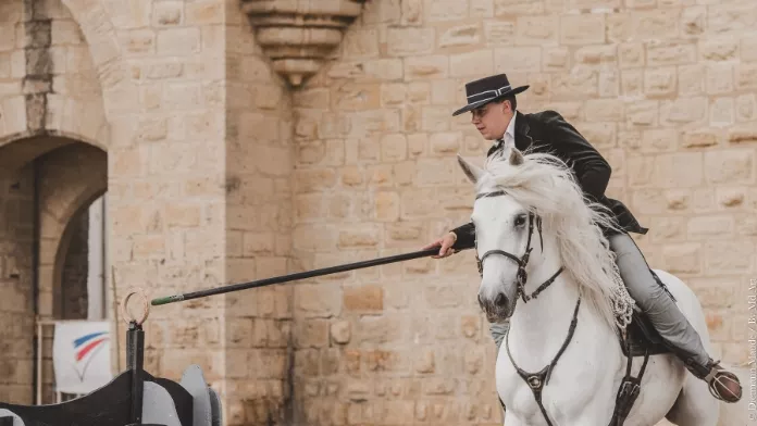 Un cadre splendide pour le championnat de France équitation de travail et de tradition à Aigues-Mortes (30)