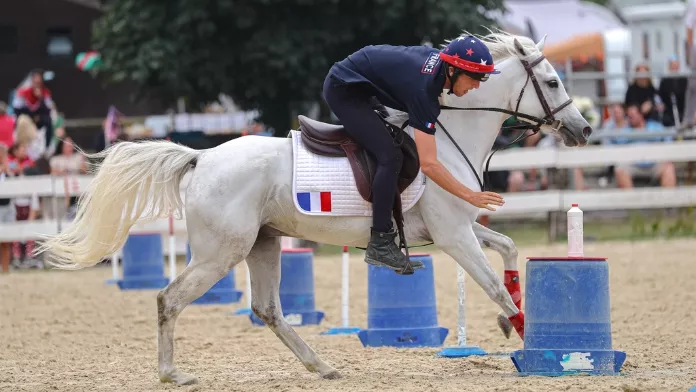 Cavalier à cheval aux pony-games à Lamotte-Beuvron (41)