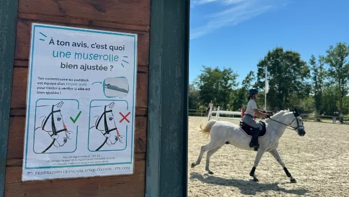 Plusieurs actions autour du bien-être animal organisées lors du Generali Open de France 2024