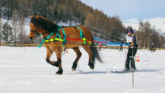 Joering - Championnat de France 2024