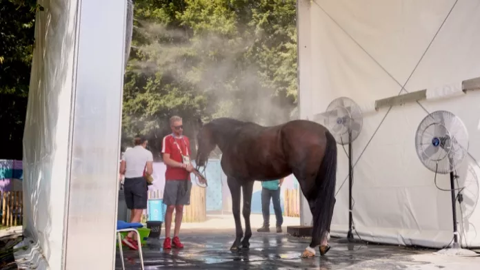 Lutter contre la chaleur à Versailles : la FEI met en œuvre des protocoles d’atténuation climatique