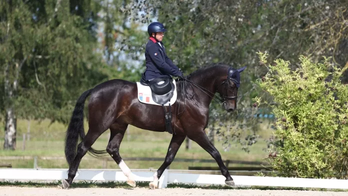 Vladimir Vinchon et Pégase Mayenne au stage de préparation et de cohésion à Champcueil en vue des Jeux paralympiques de Paris 2024 