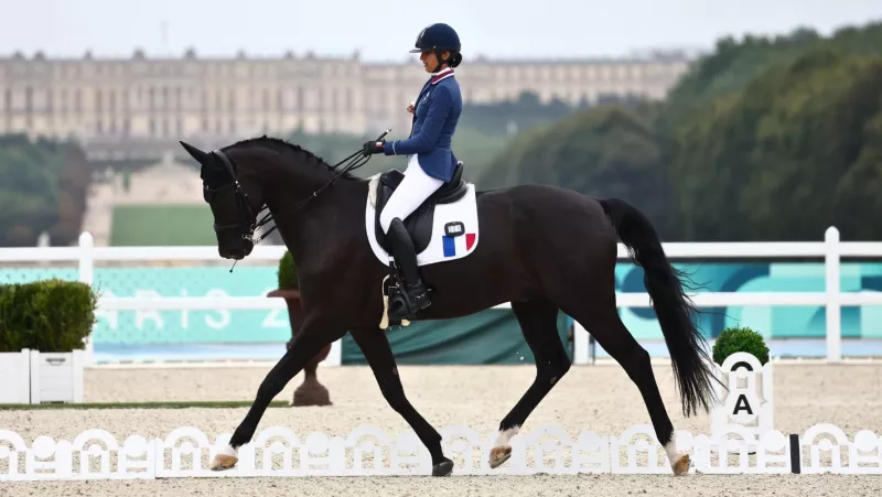 Chiara Zenati et Swing Royal IFCE Individuel Paris 2024