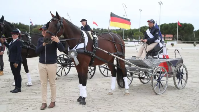 Championnat du monde attelage Jeunes chevaux- 5 ans 