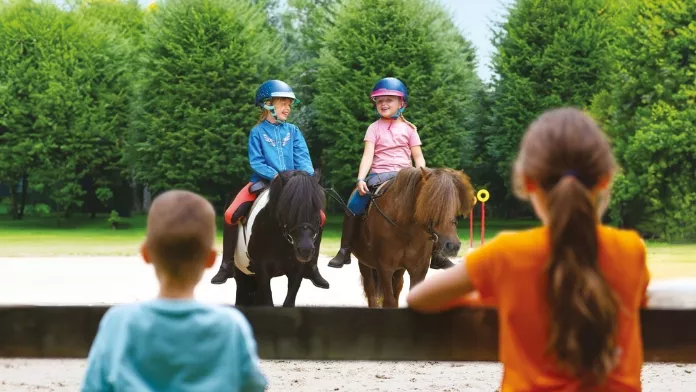 La journée du cheval FFE PSV NHodys