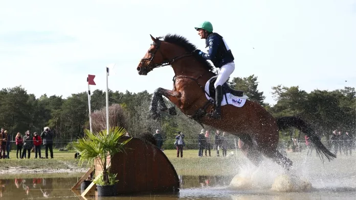 Nicolas Touzaint & Fibonacci de Lessac*HDC, propriété de la SARL Haras des Coudrettes