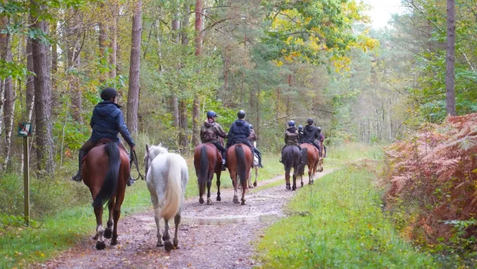 Randonnee mediateur equin FFE EB