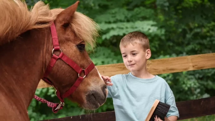 Six bonnes raisons de participer à l’opération Poney école 