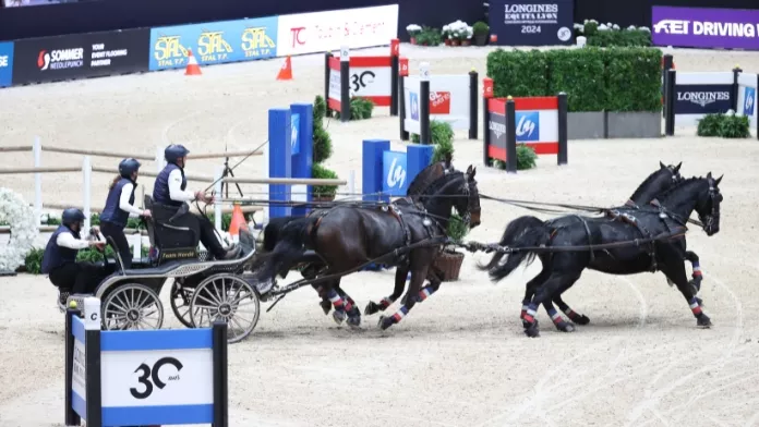 Anthony Hordé et Neapolitano XXXIII-33, Favory Fantom, Dani (propriété d’Arjanne Hiddingh) et Bitang (propriété d’Exell Holding BV) 4e de l'étape Coupe du monde d'attelage à Lyon