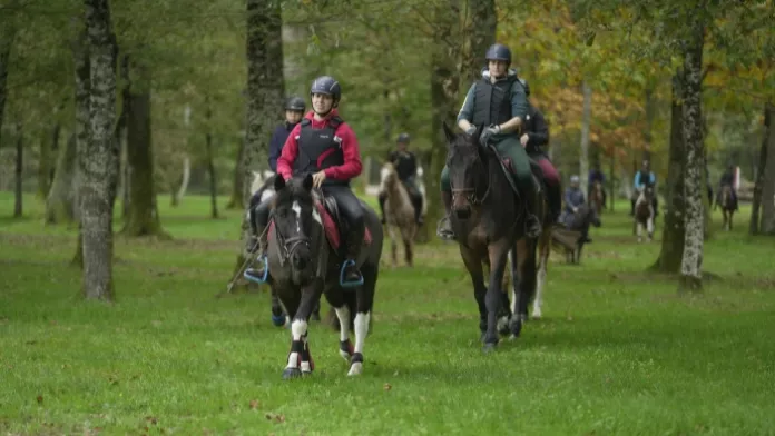 Le TREC - techniques de randonnée équestre de compétition - était à l’honneur du 25 au 27 novembre au Parc équestre fédéral. La deuxième édition des Rencontres du TREC, à laquelle une partie pratique et compétition a été ajoutée en plus des informations théoriques, a rencontré un franc succès auprès des cavaliers, enseignants, organisateurs et officiels de compétition. 